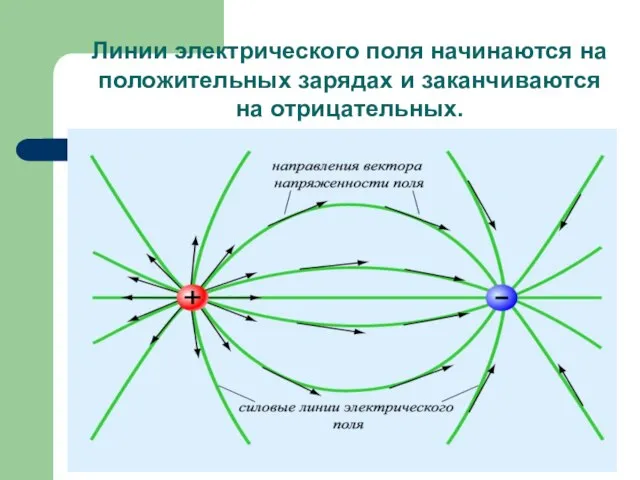 Линии электрического поля начинаются на положительных зарядах и заканчиваются на отрицательных.