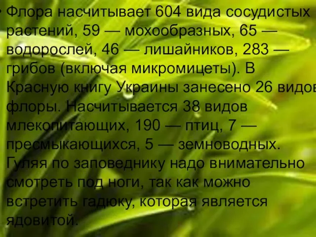 Флора насчитывает 604 вида сосудистых растений, 59 — мохообразных, 65 —