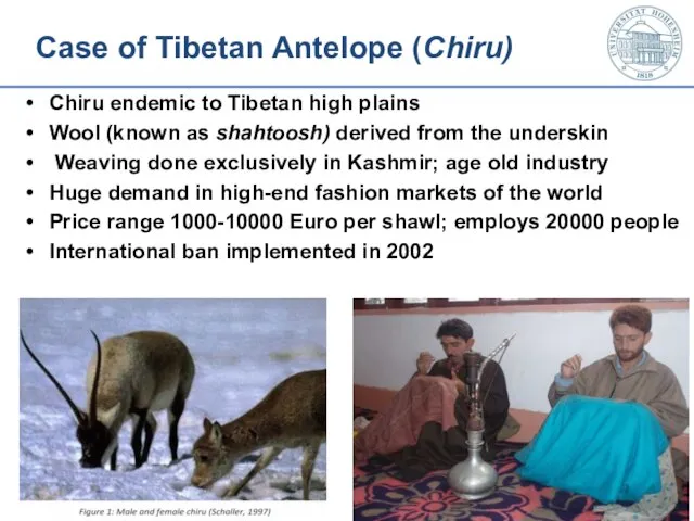 Case of Tibetan Antelope (Chiru) Chiru endemic to Tibetan high plains