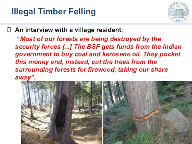 Illegal Timber Felling An interview with a village resident: “Most of