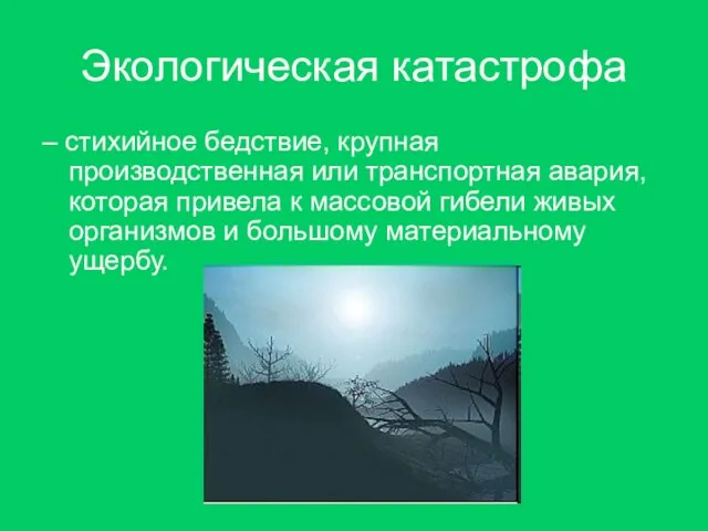 Экологическая катастрофа – стихийное бедствие, крупная производственная или транспортная авария, которая