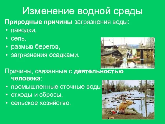 Изменение водной среды Природные причины загрязнения воды: паводки, сель, размыв берегов,