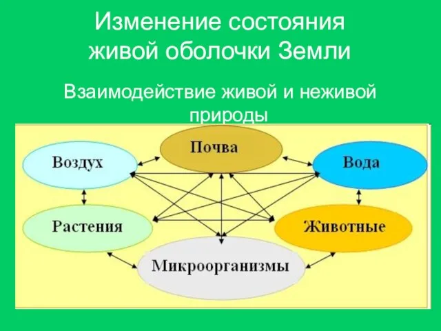 Изменение состояния живой оболочки Земли Взаимодействие живой и неживой природы