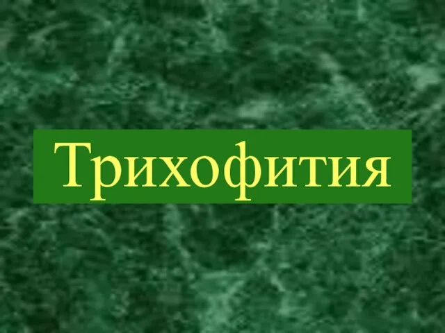 Трихофития