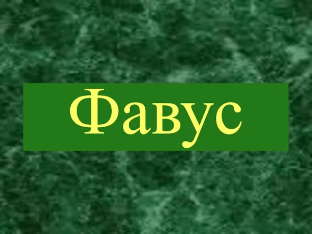 Фавус