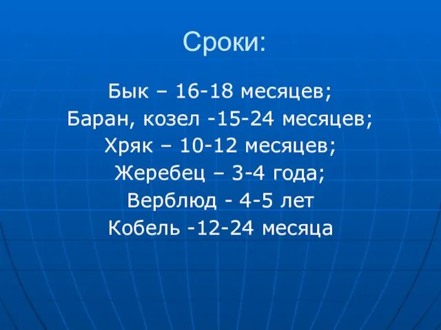 Сроки: Бык – 16-18 месяцев; Баран, козел -15-24 месяцев; Хряк –