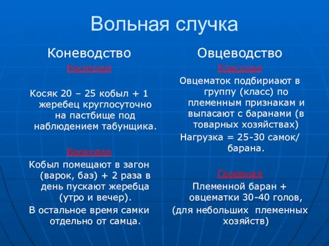 Вольная случка Коневодство Косячная Косяк 20 – 25 кобыл + 1