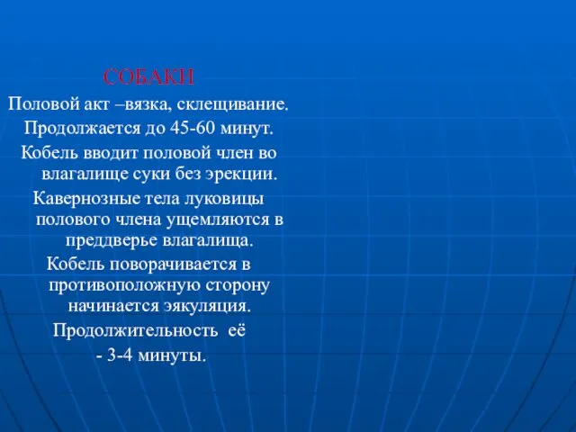 СОБАКИ Половой акт –вязка, склещивание. Продолжается до 45-60 минут. Кобель вводит