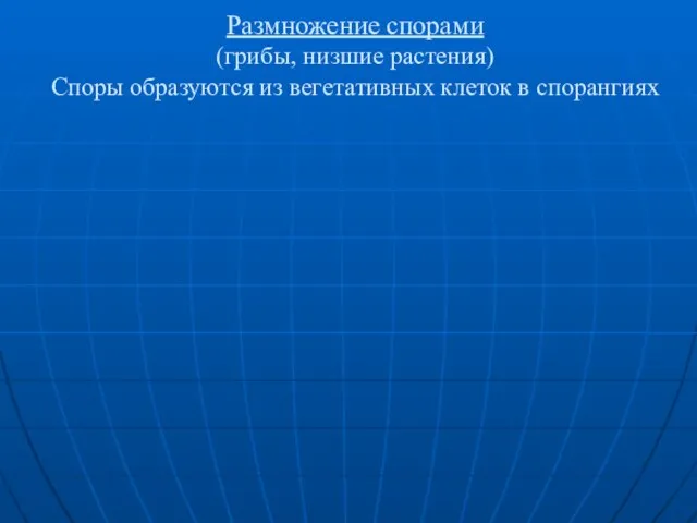 Размножение спорами (грибы, низшие растения) Споры образуются из вегетативных клеток в спорангиях