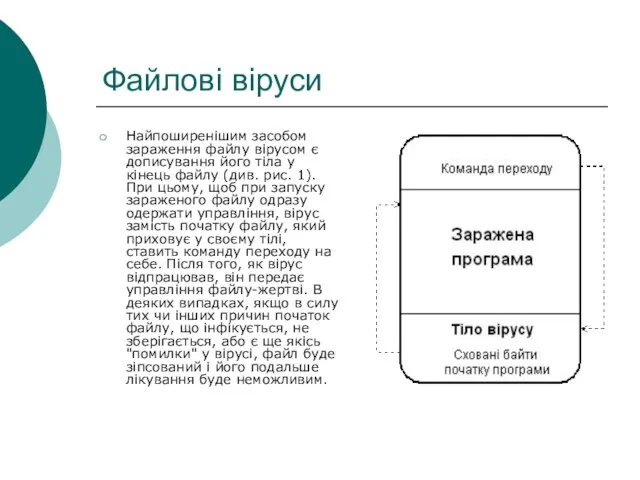 Файлові віруси Найпоширенішим засобом зараження файлу вірусом є дописування його тіла