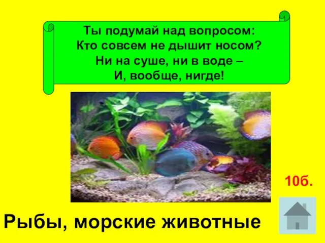 Ты подумай над вопросом: Кто совсем не дышит носом? Ни на