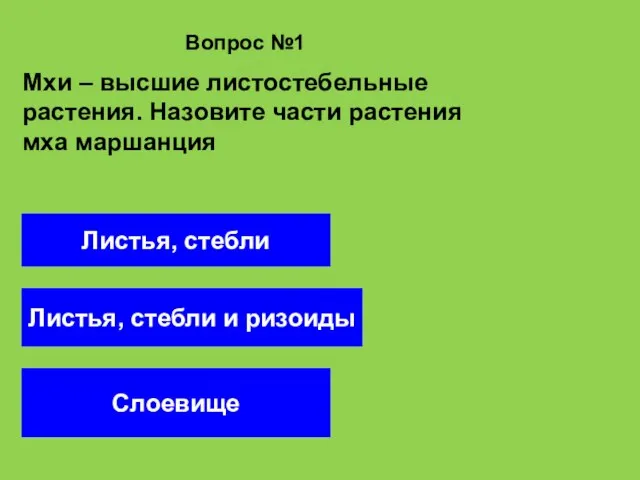 Вопрос №1 Слоевище Листья, стебли Листья, стебли и ризоиды Мхи –