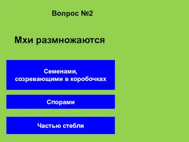 Вопрос №2 Спорами Частью стебля Семенами, созревающими в коробочках Мхи размножаются