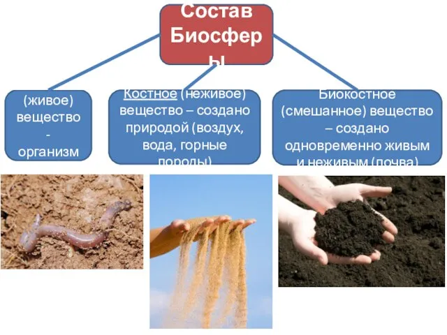 Состав Биосферы Биогенное (живое) вещество - организмы Костное (неживое) вещество –