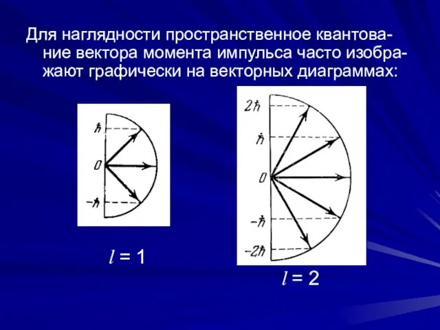 Для наглядности пространственное квантова-ние вектора момента импульса часто изобра-жают графически на