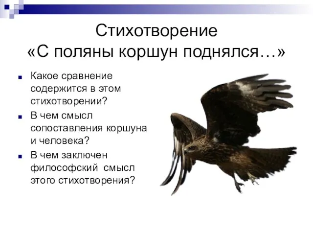 Стихотворение «С поляны коршун поднялся…» Какое сравнение содержится в этом стихотворении?