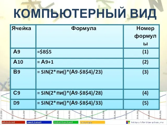 КОМПЬЮТЕРНЫЙ ВИД