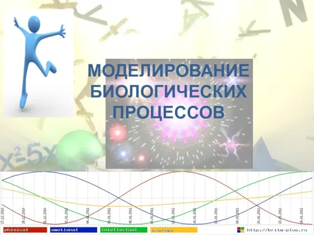 МОДЕЛИРОВАНИЕ БИОЛОГИЧЕСКИХ ПРОЦЕССОВ