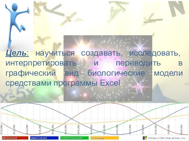 Цель: научиться создавать, исследовать, интерпретировать и переводить в графический вид биологические модели средствами программы Excel