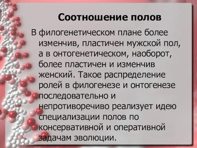 Соотношение полов В филогенетическом плане более изменчив, пластичен мужской пол, а