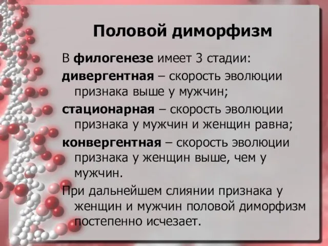 Половой диморфизм В филогенезе имеет 3 стадии: дивергентная – скорость эволюции