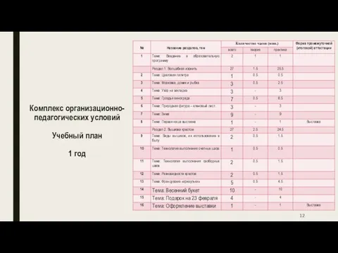 Комплекс организационно-педагогических условий Учебный план 1 год