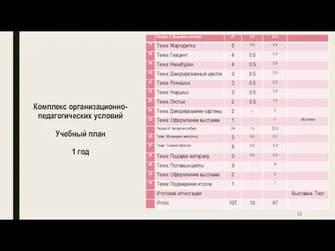 Комплекс организационно-педагогических условий Учебный план 1 год