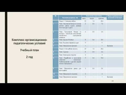 Комплекс организационно-педагогических условий Учебный план 2 год