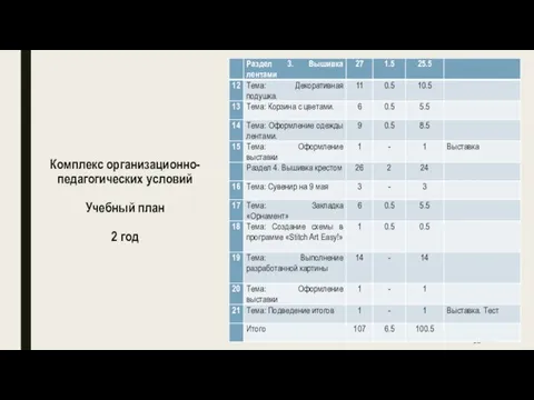 Комплекс организационно-педагогических условий Учебный план 2 год