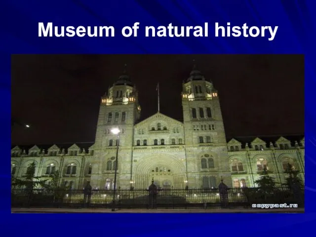 Museum of natural history