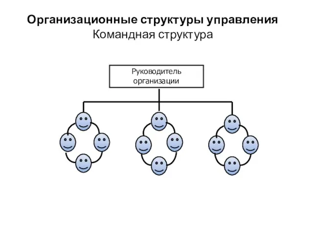 Организационные структуры управления Командная структура Руководитель организации