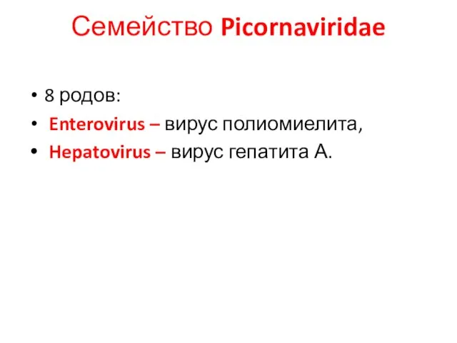 Семейство Picornaviridae 8 родов: Enterovirus – вирус полиомиелита, Hepatovirus – вирус гепатита А.