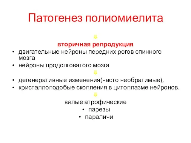 Патогенез полиомиелита ⇓ вторичная репродукция двигательные нейроны передних рогов спинного мозга