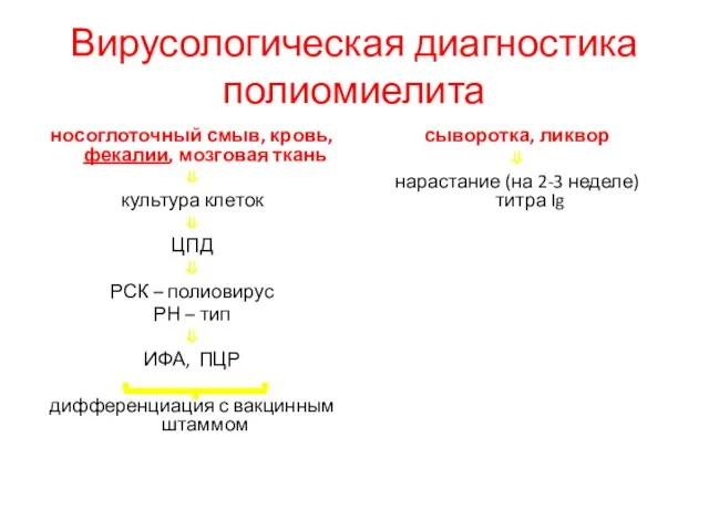 Вирусологическая диагностика полиомиелита носоглоточный смыв, кровь, фекалии, мозговая ткань ⇓ культура