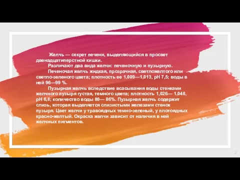 Желчь — секрет печени, выделяющийся в просвет двенадцатиперстной кишки. Различают два