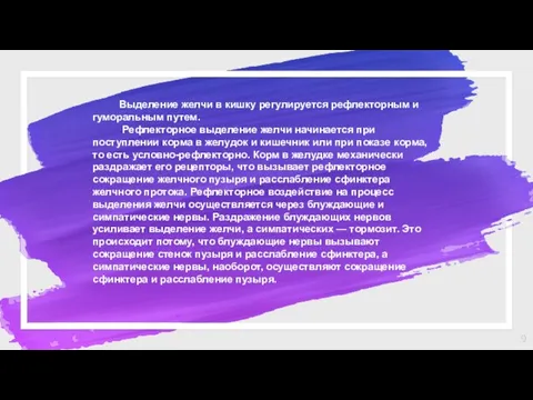 Выделение желчи в кишку регулируется рефлекторным и гуморальным путем. Рефлекторное выделение