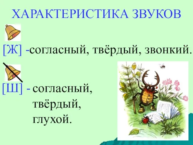 ХАРАКТЕРИСТИКА ЗВУКОВ согласный, твёрдый, звонкий. согласный, твёрдый, глухой.