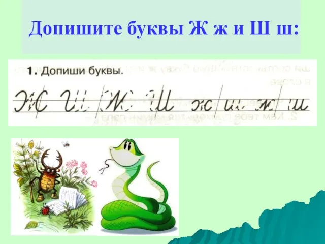 Допишите буквы Ж ж и Ш ш: