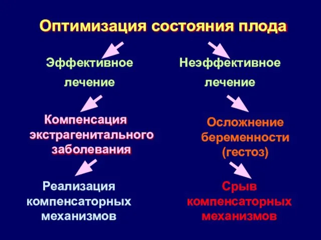 Оптимизация состояния плода Эффективное лечение Компенсация экстрагенитального заболевания Осложнение беременности (гестоз)