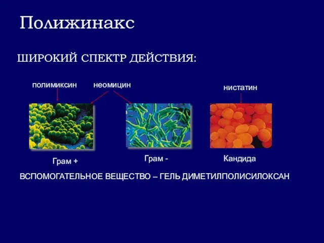 Полижинакс ШИРОКИЙ СПЕКТР ДЕЙСТВИЯ: полимиксин неомицин нистатин Грам + Грам -