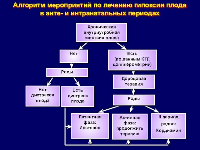 Алгоритм мероприятий по лечению гипоксии плода в анте- и интранатальных периодах