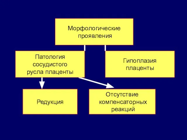 Патология сосудистого русла плаценты Гипоплазия плаценты Морфологические проявления Редукция Отсутствие компенсаторных реакций