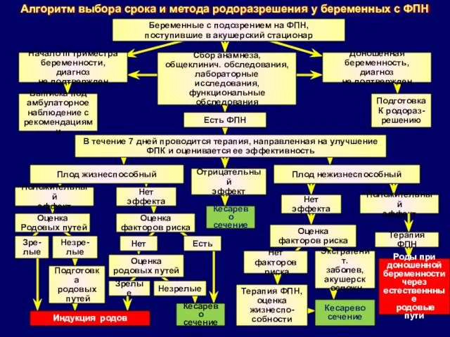 Беременные с подозрением на ФПН, поступившие в акушерский стационар Алгоритм выбора