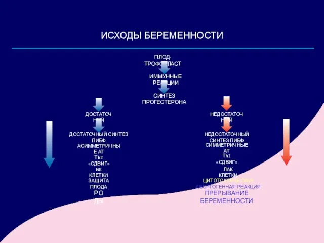 ИСХОДЫ БЕРЕМЕННОСТИ ПЛОД-ТРОФОБЛАСТ ИММУННЫЕ РЕАКЦИИ СИНТЕЗ ПРОГЕСТЕРОНА НЕДОСТАТОЧНЫЙ ДОСТАТОЧНЫЙ НЕДОСТАТОЧНЫЙ СИНТЕЗ