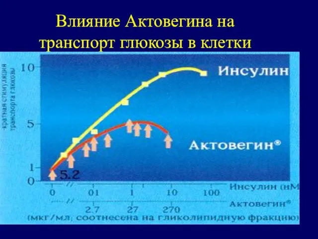 Влияние Актовегина на транспорт глюкозы в клетки