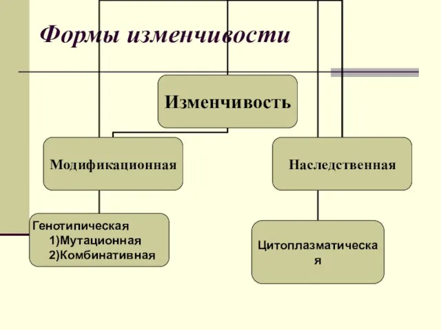 Формы изменчивости