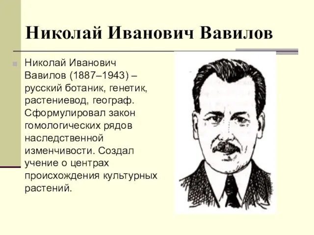 Николай Иванович Вавилов Николай Иванович Вавилов (1887–1943) – русский ботаник, генетик,