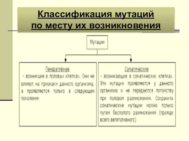 Классификация мутаций по месту их возникновения