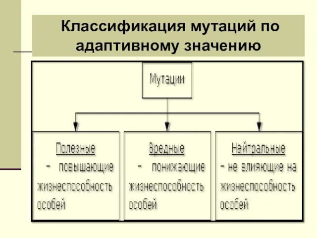 Классификация мутаций по адаптивному значению