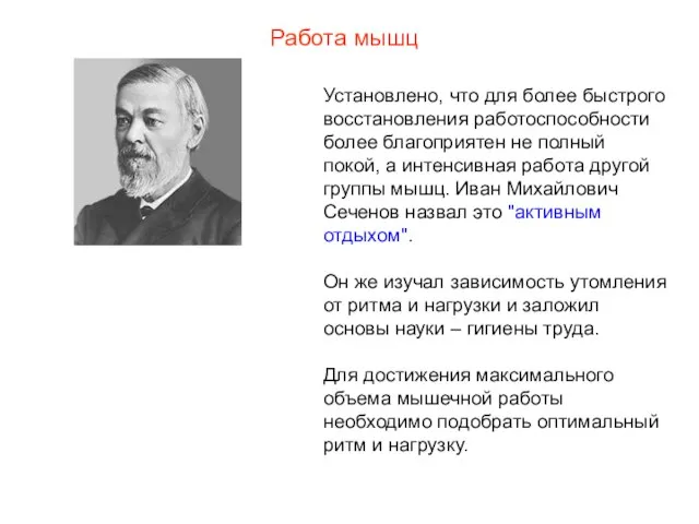 Работа мышц Установлено, что для более быстрого восстановления работоспособности более благоприятен